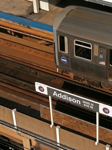 Urban Macro Gallery- Addison Redline
